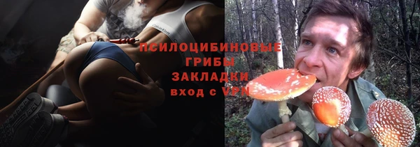 прущие грибы Абаза