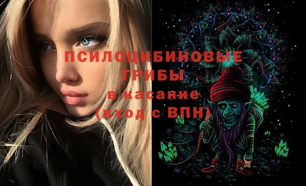 PSILOCYBIN Алексин