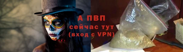 прущие грибы Абаза