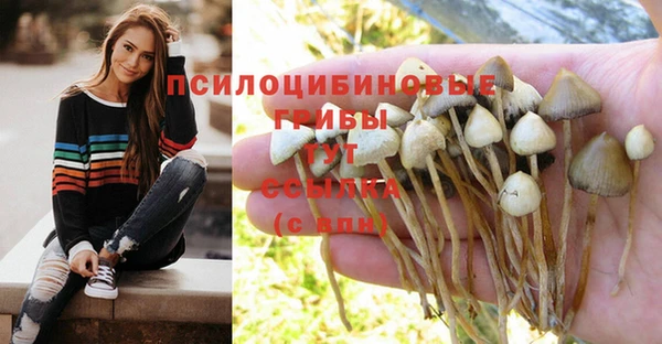 шишки Алексеевка