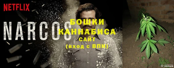 прущие грибы Абаза