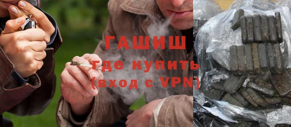 прущие грибы Абаза