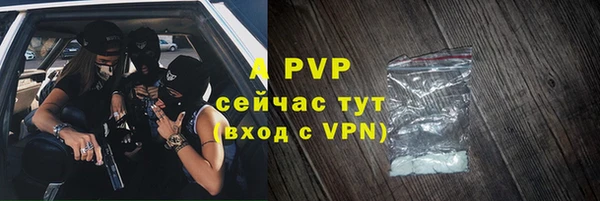 прущие грибы Абаза