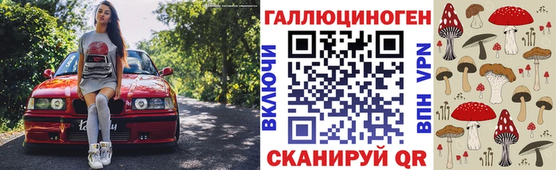 Псилоцибиновые грибы GOLDEN TEACHER  купить наркотики сайты  Шенкурск 